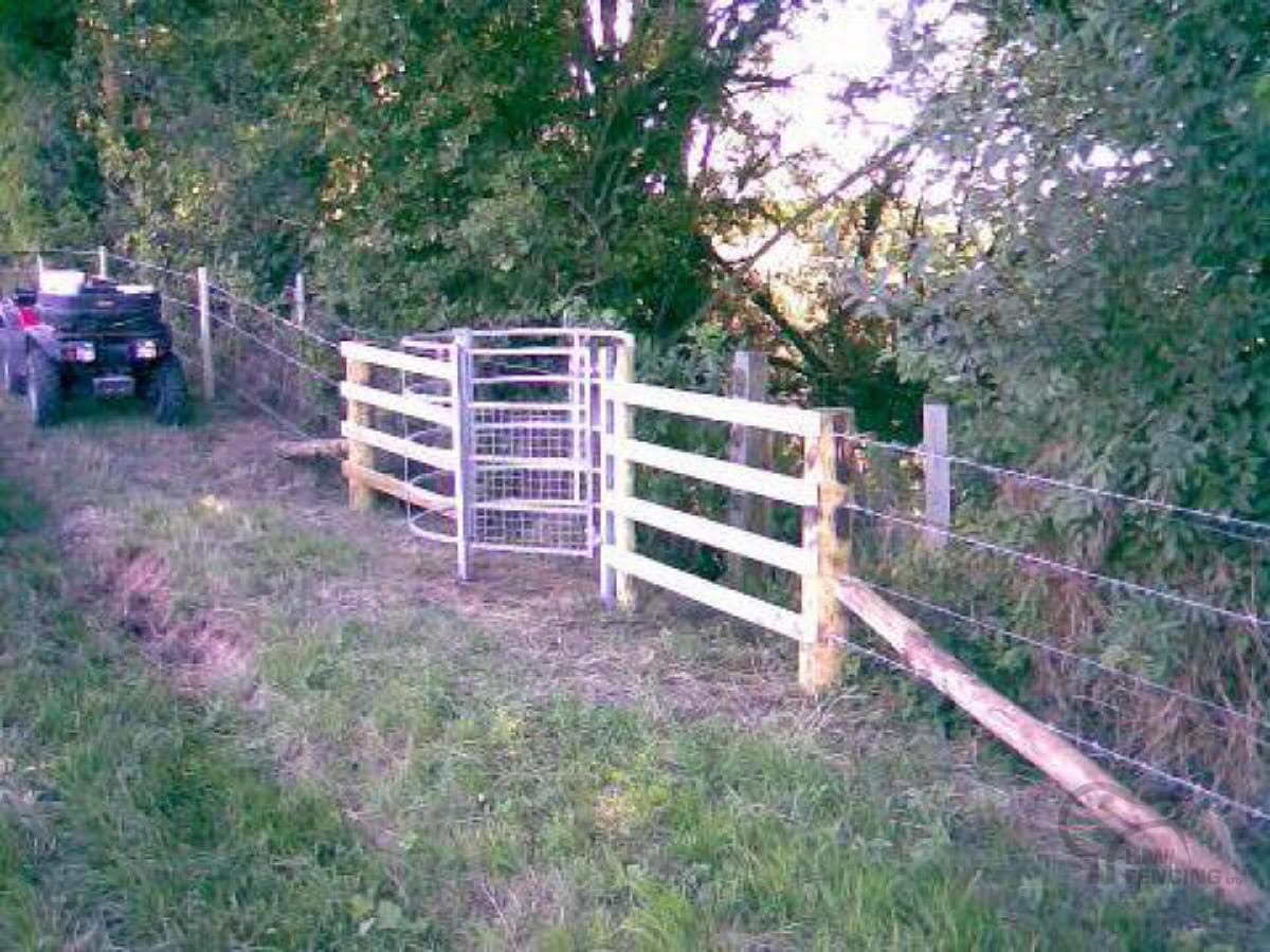 Kissing gate