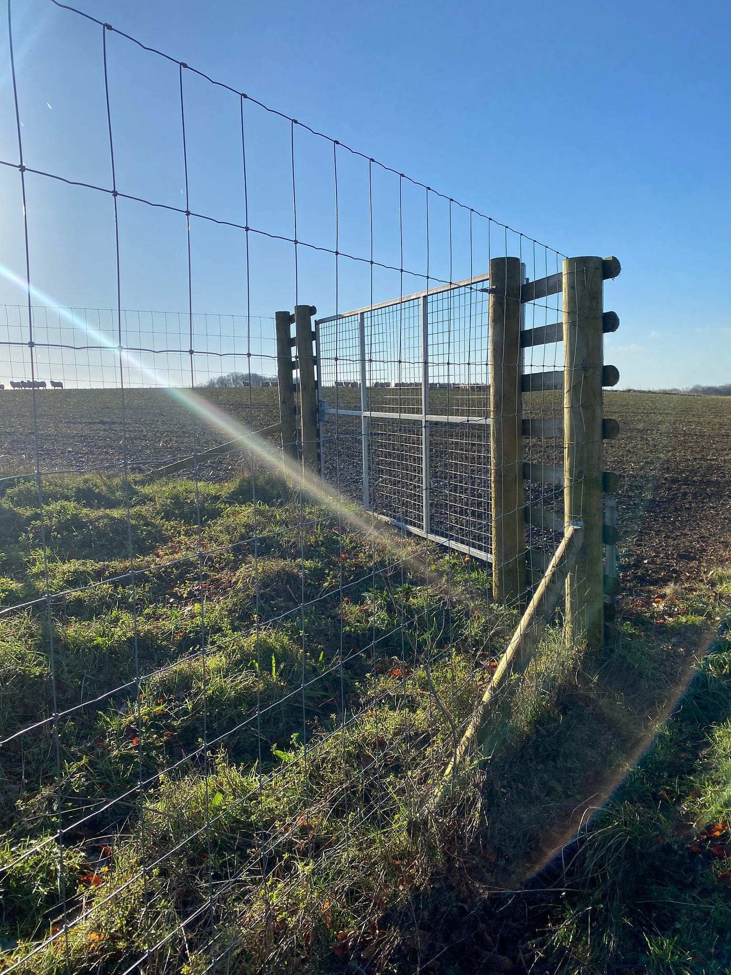 Deer Fencing Gate