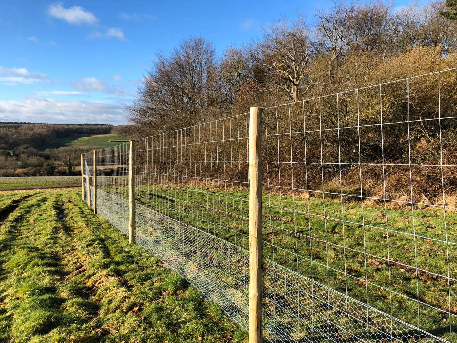 Deer Fencing – Kiwi Fencing Ltd