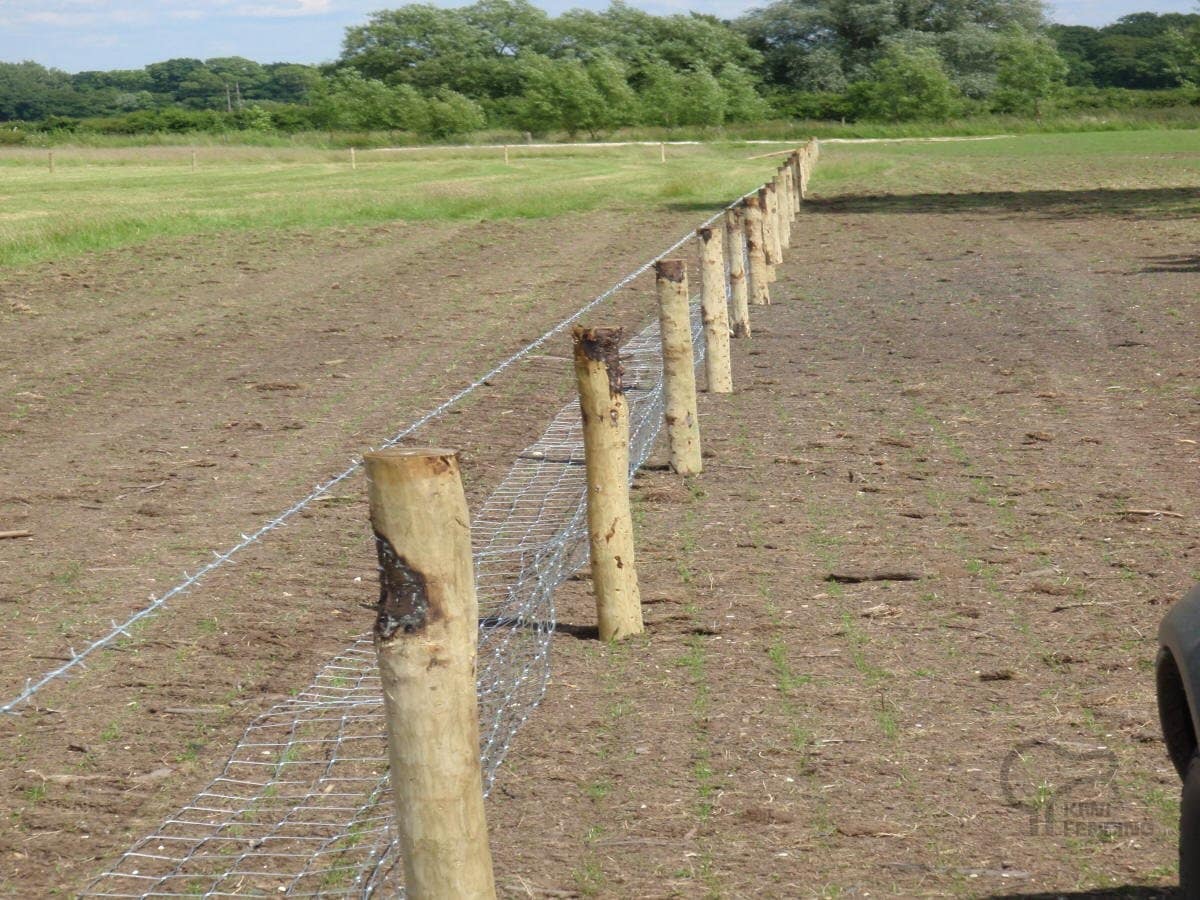 Stock Fencing