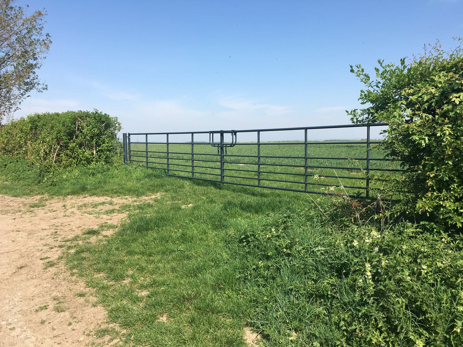 Metal field gate