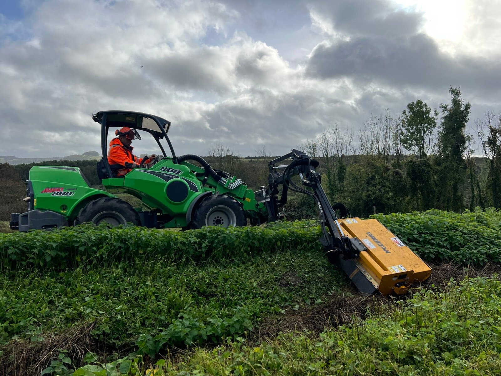 Vegetation clearance