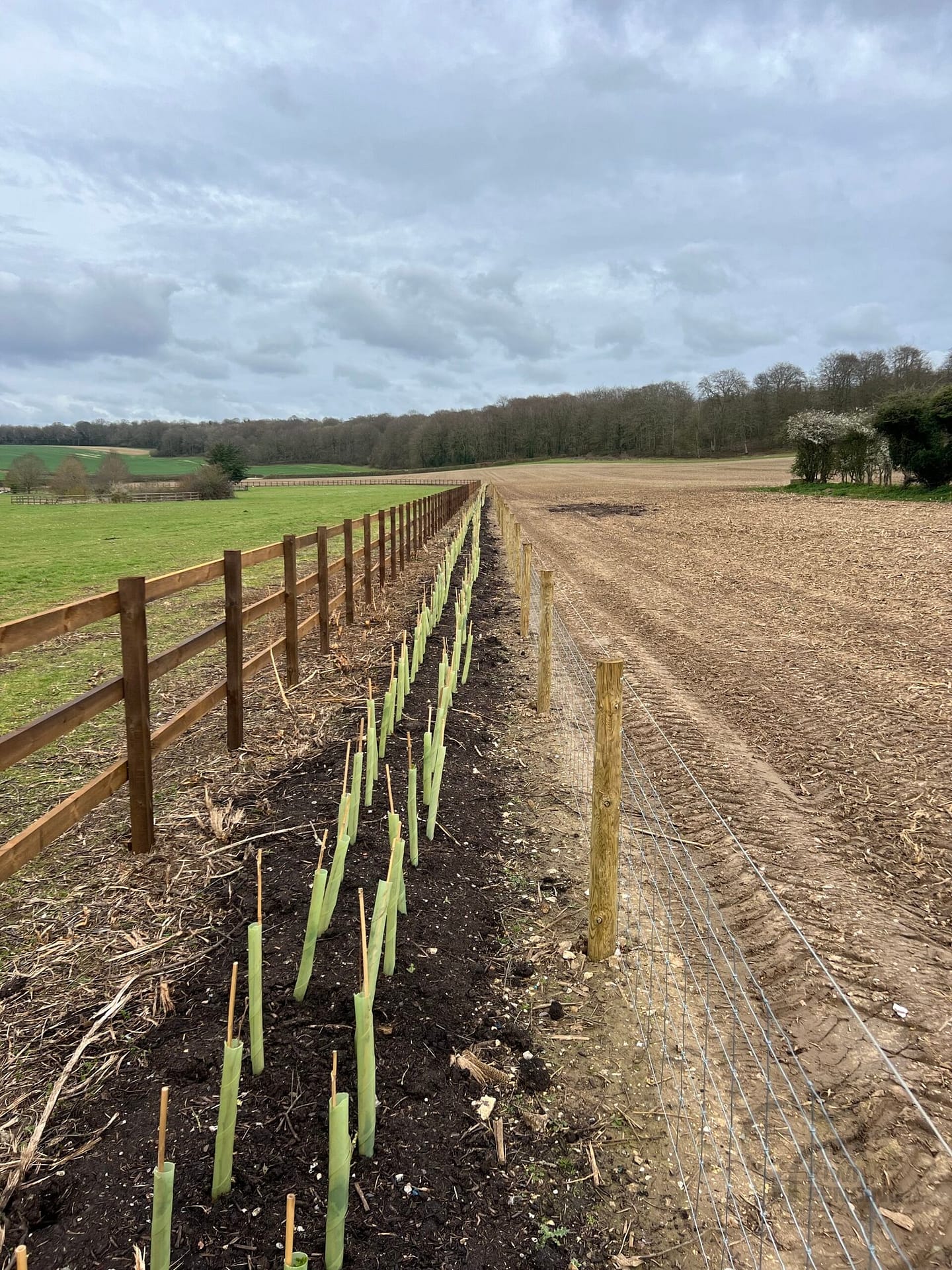 Post and rail fencing
